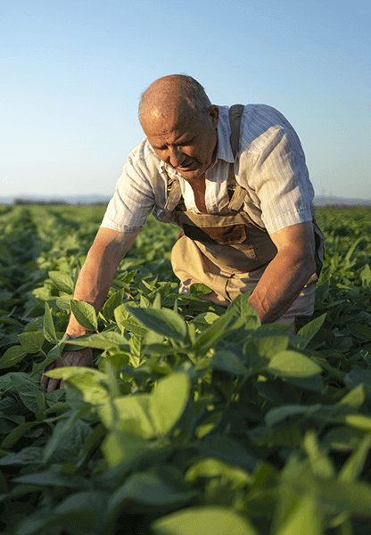 agricultor