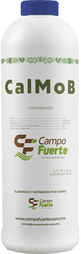 CalMoB