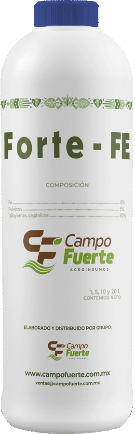 Forte Fe