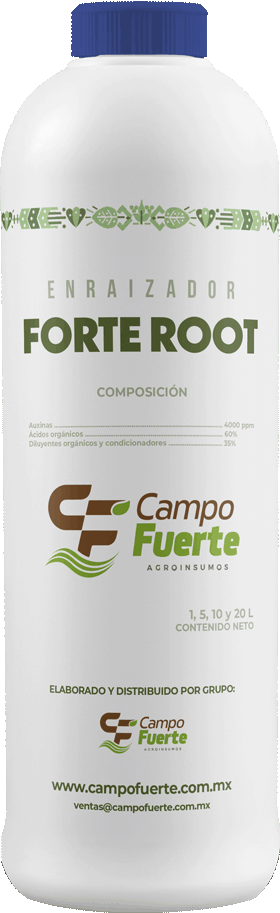 Forte Root