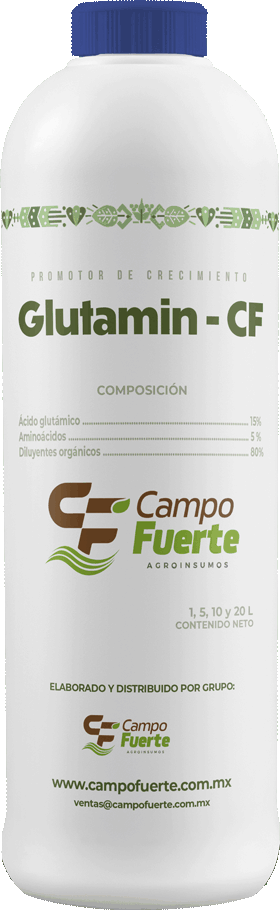 Glutamin-CF