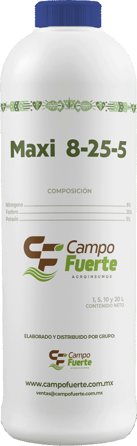 Maxi 8-25-5